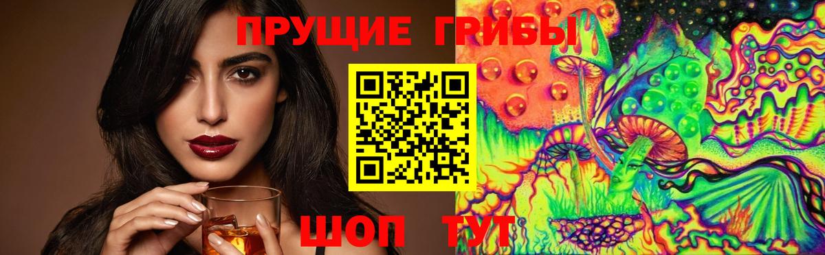 Псилоцибиновые грибы Psilocybine cubensis Саянск